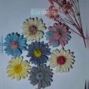 photo-output-2-1.jpeg