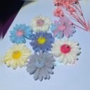 photo-output-3-scaled-1.jpeg