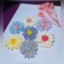 photo-output-4-scaled-1.jpeg